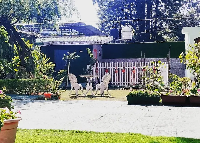 Olive Greens Homestay