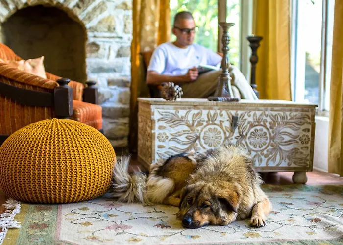 Dervish Boutique Homestay, Mukteshwar