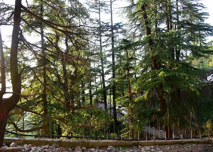 Royale Retreat Hotel & Spa Near Mall Road