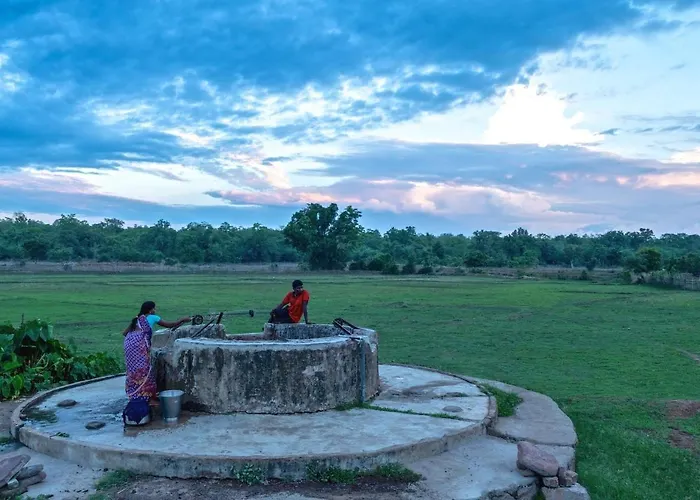 Red Earth Tadoba