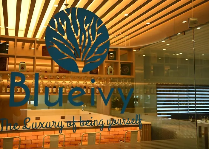 Hotel Blueivy Anand