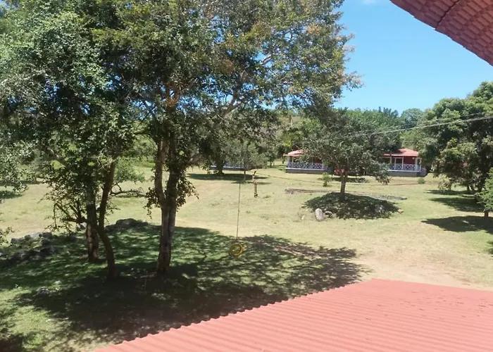 The Wild Fo'Rest Resorts