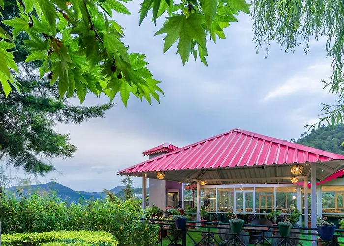 Maple Resort Chail