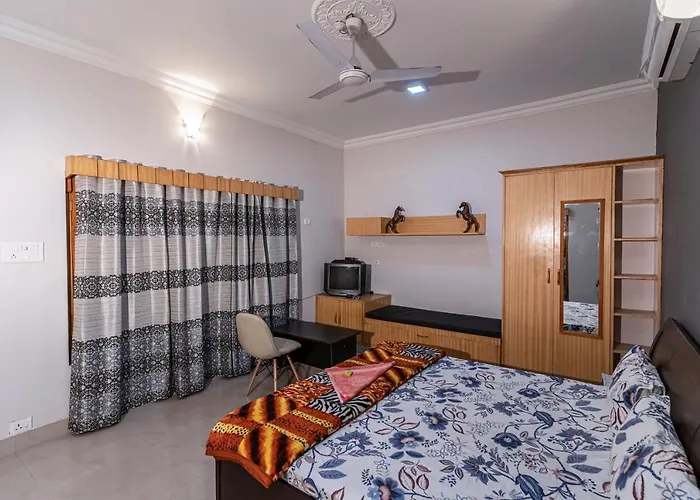 Lazy Mojo Inn