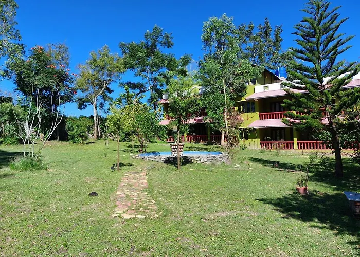 The Tiger Paw Resort