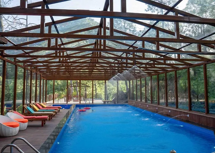 Chillaru Spa & Resort