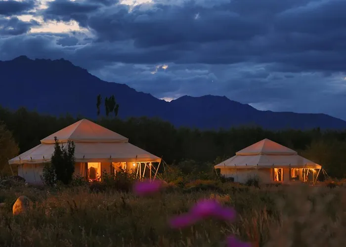 Chamba Camp Thiksey