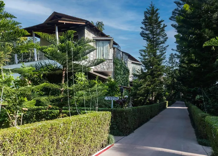 Wood Castle Spa & Resort