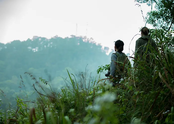 Wayanad Wild - A Cgh Earth Experience