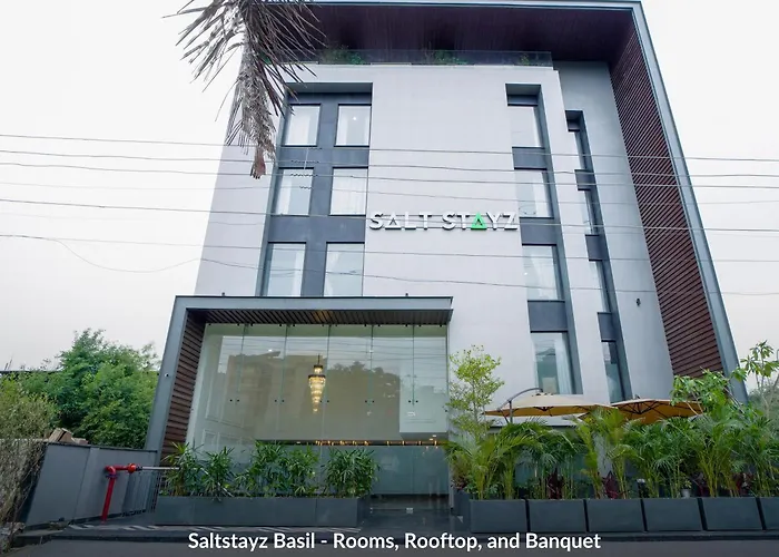 Saltstayz Basil - Near Golf Course Road & Extension Road