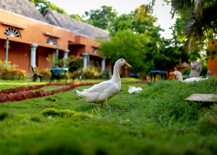 Chettinadu Court- Heritage View