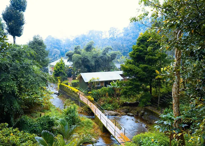 Goodland Falling Water Munnar