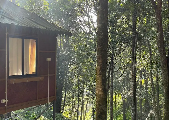 900 Woods Wayanad Eco Resort - A Sprawling Jungle Stay Near Glass Bridge