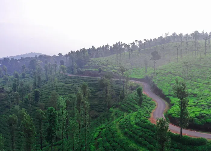 Leaves Resort Vythiri Wayanad