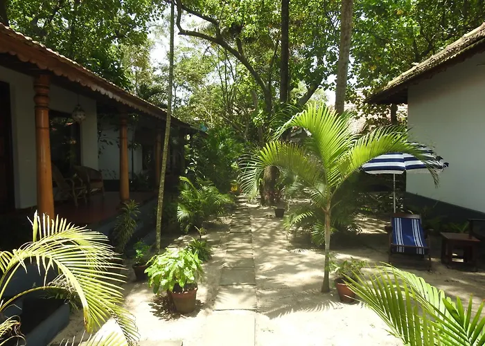 Alleppey Beach Garden