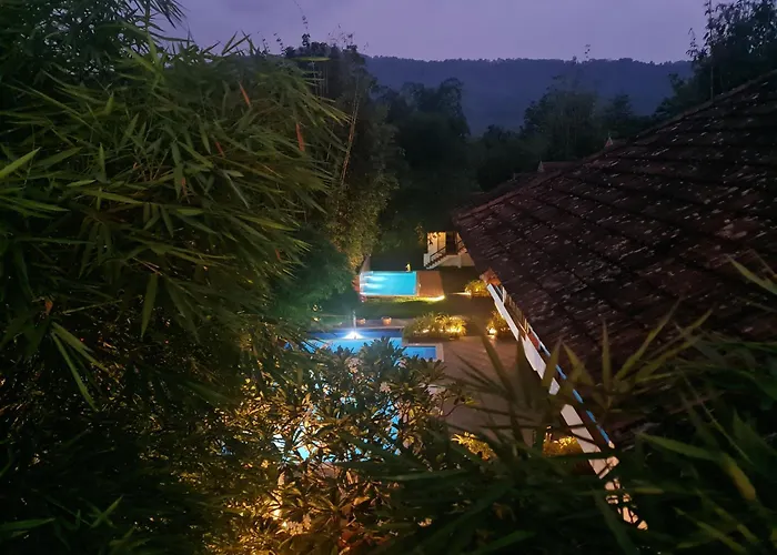 Athirapally Green Trees