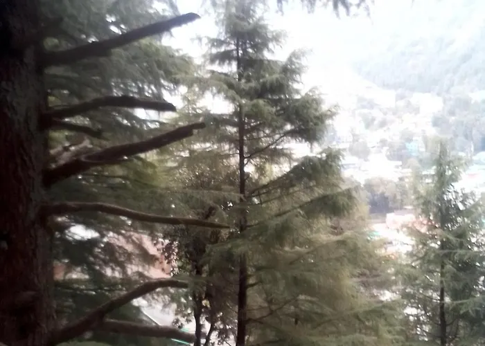Himalayan Stays Trekking Backpackers