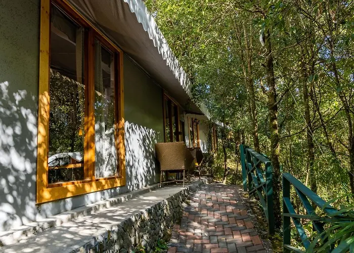 Ayar Jungle Resort