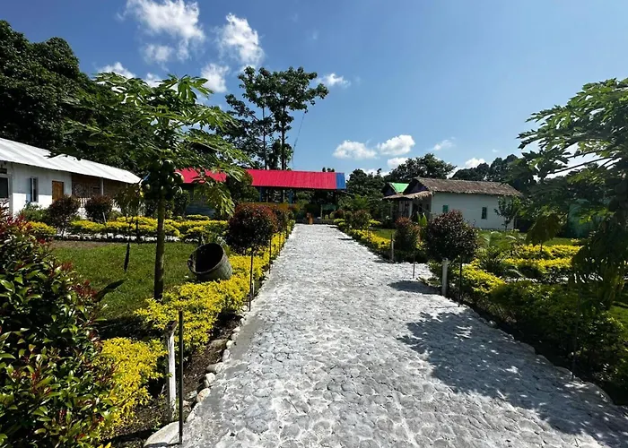 Falcon Jungle Resort