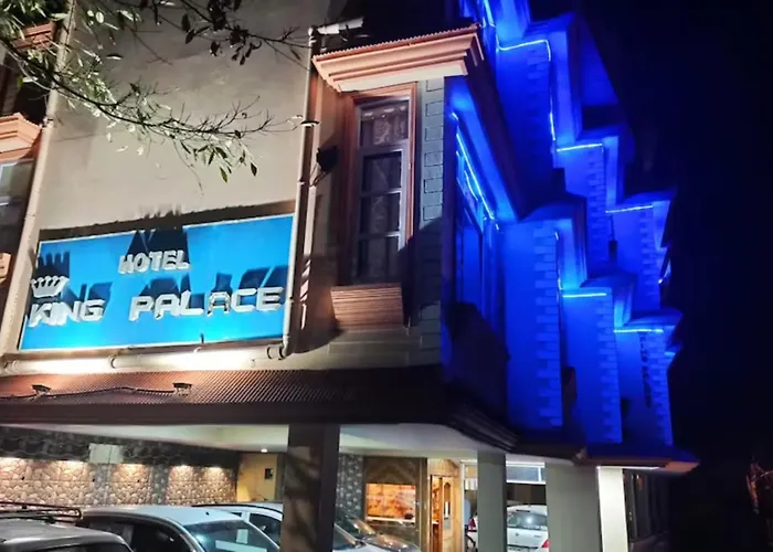 Hotel King Palace - Nature-Valley-Luxury-Room - Prime Location With Parking Facilities