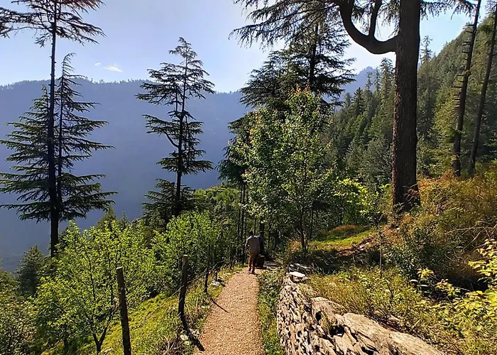 Pin Parvati Wooden Cottages - Hidden Monkey Experiences