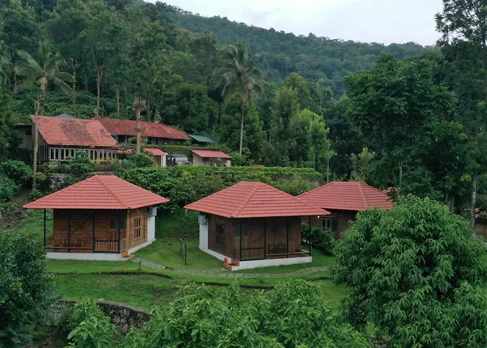 Avadale Wayanad - Stag Groups Not Allowed
