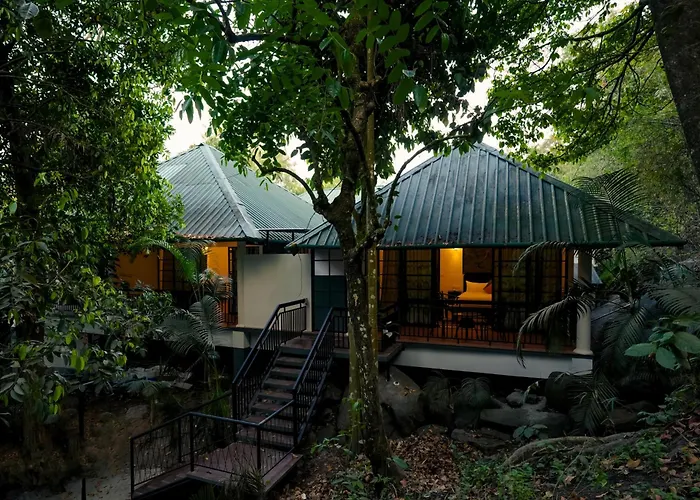 The Hive Wayanad
