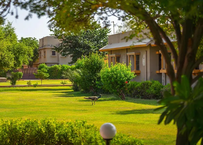 Thar Oasis Resort And Camp