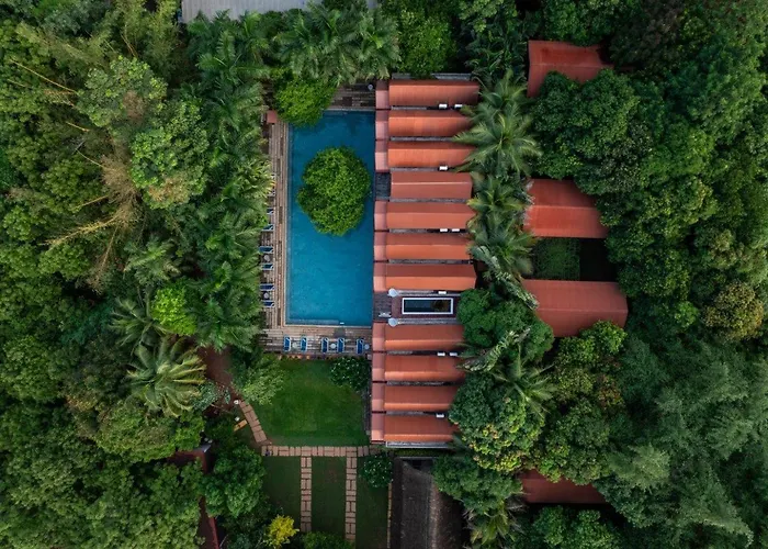 Mango Hill Auroville Pondicherry