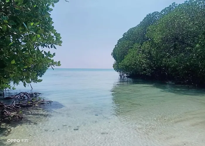Tropical Beach Resort