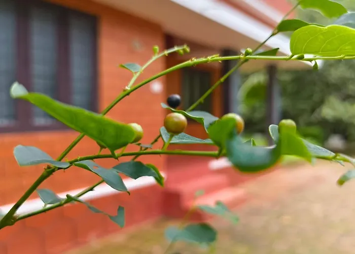 Theerthamkara Staycation