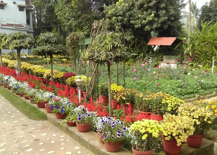 Rater Tara Diner Rabi Resort