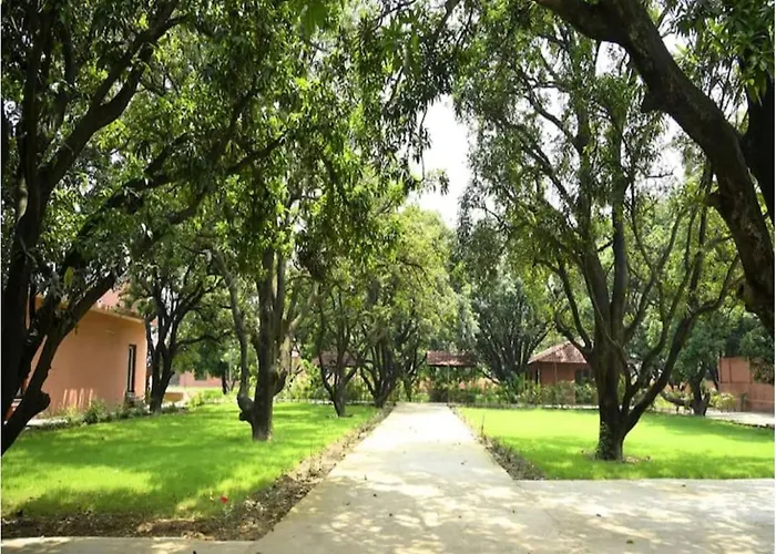Gill Resort