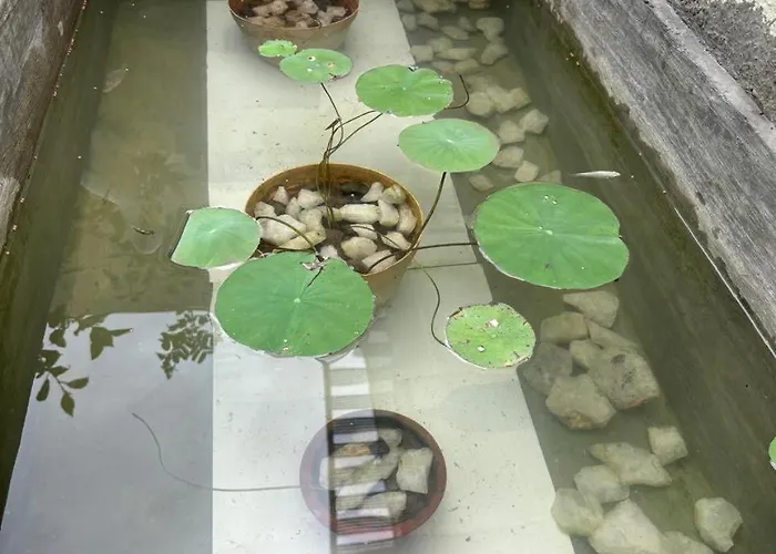 Shi'S Isha Homestay In Coimbatore