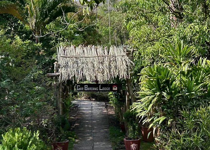 Gir Birding Lodge
