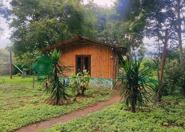 Mist Valley Wildlife Resort