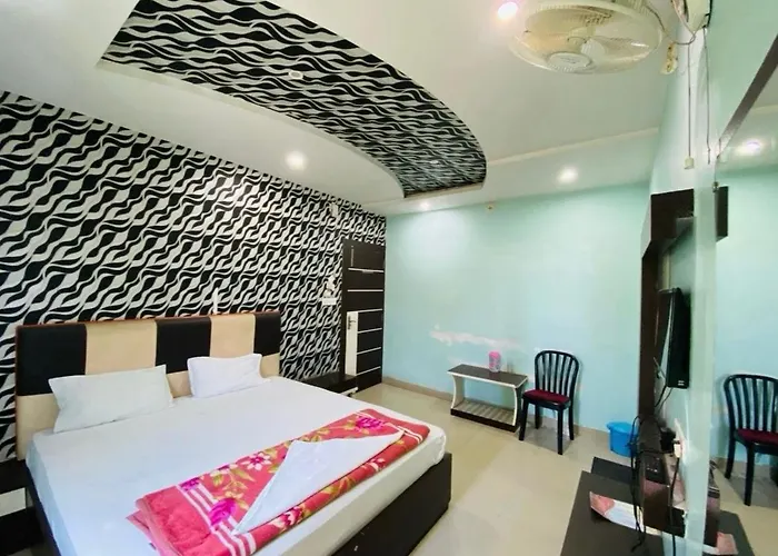Hotel Basant Vihar International
