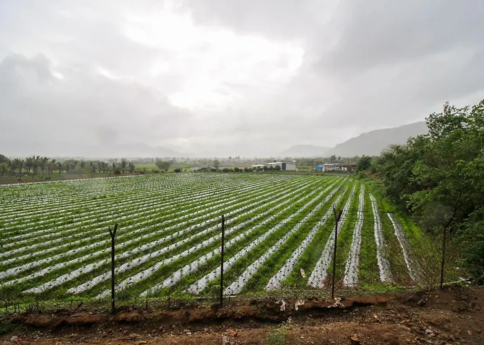 Hotel Ekant Tourist Resort Aka Ekaant Farms