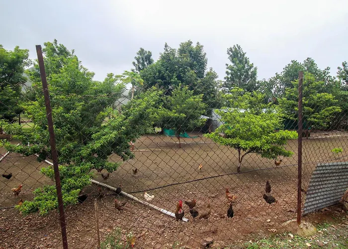 Hotel Ekant Tourist Resort Aka Ekaant Farms