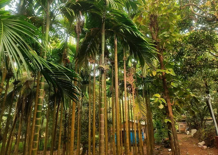 Shantadurga Beachside Homestay