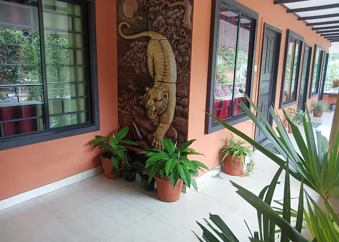 Jungle Valley Ayurvedic Spa Resort