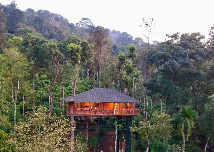 Tranquil Resort - Blusalzz Collection, Wayanad - Kerala