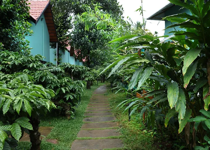 Bay View Suites, Vythiri, Wayanad