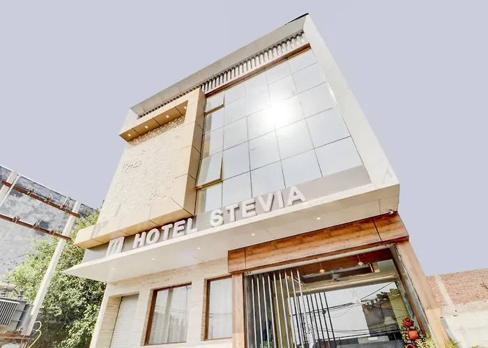 Hotel O Stevia