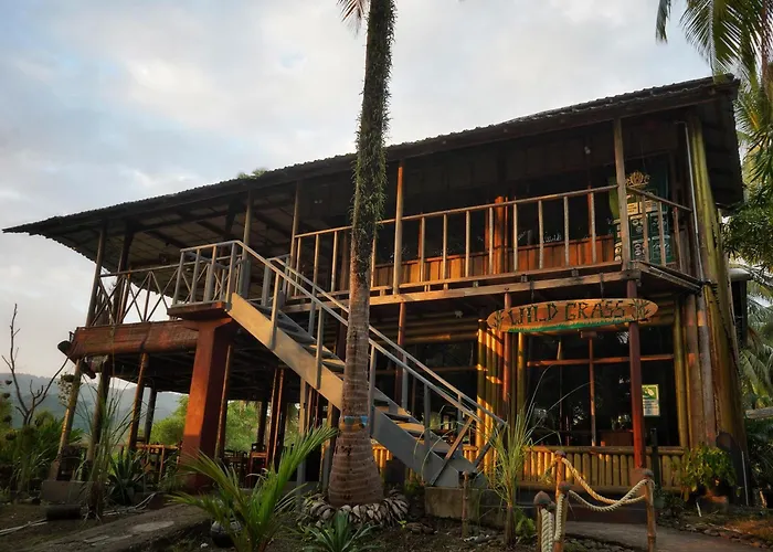 Wild Grass Resort
