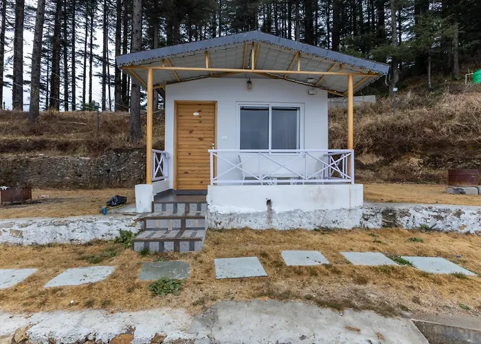 The Deodar Stays