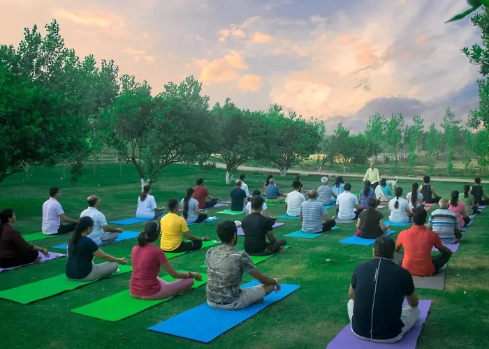Solis Wellness Retreat