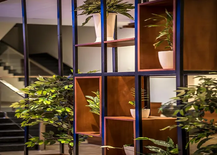 Wild Avenue Resort & Spa