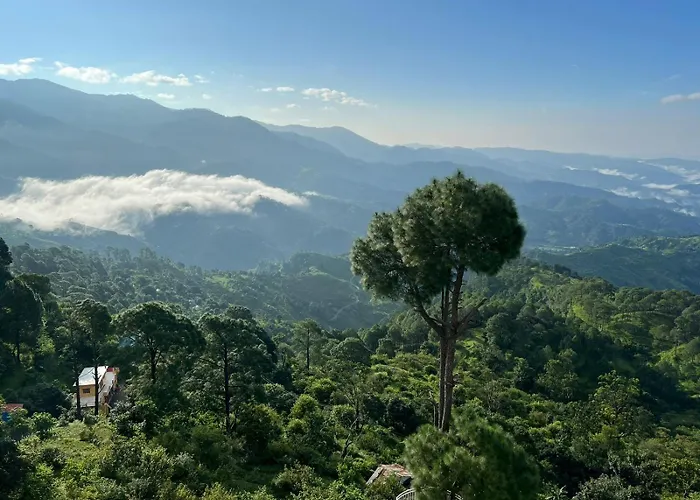 Peaks And Pines Resort