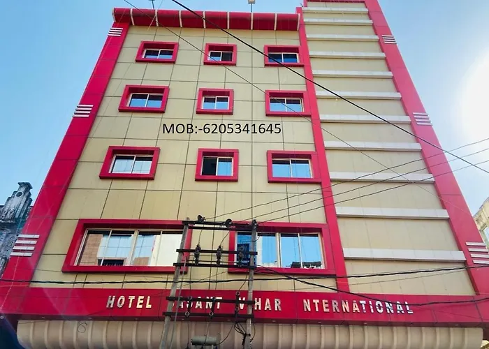 Hotel Basant Vihar International